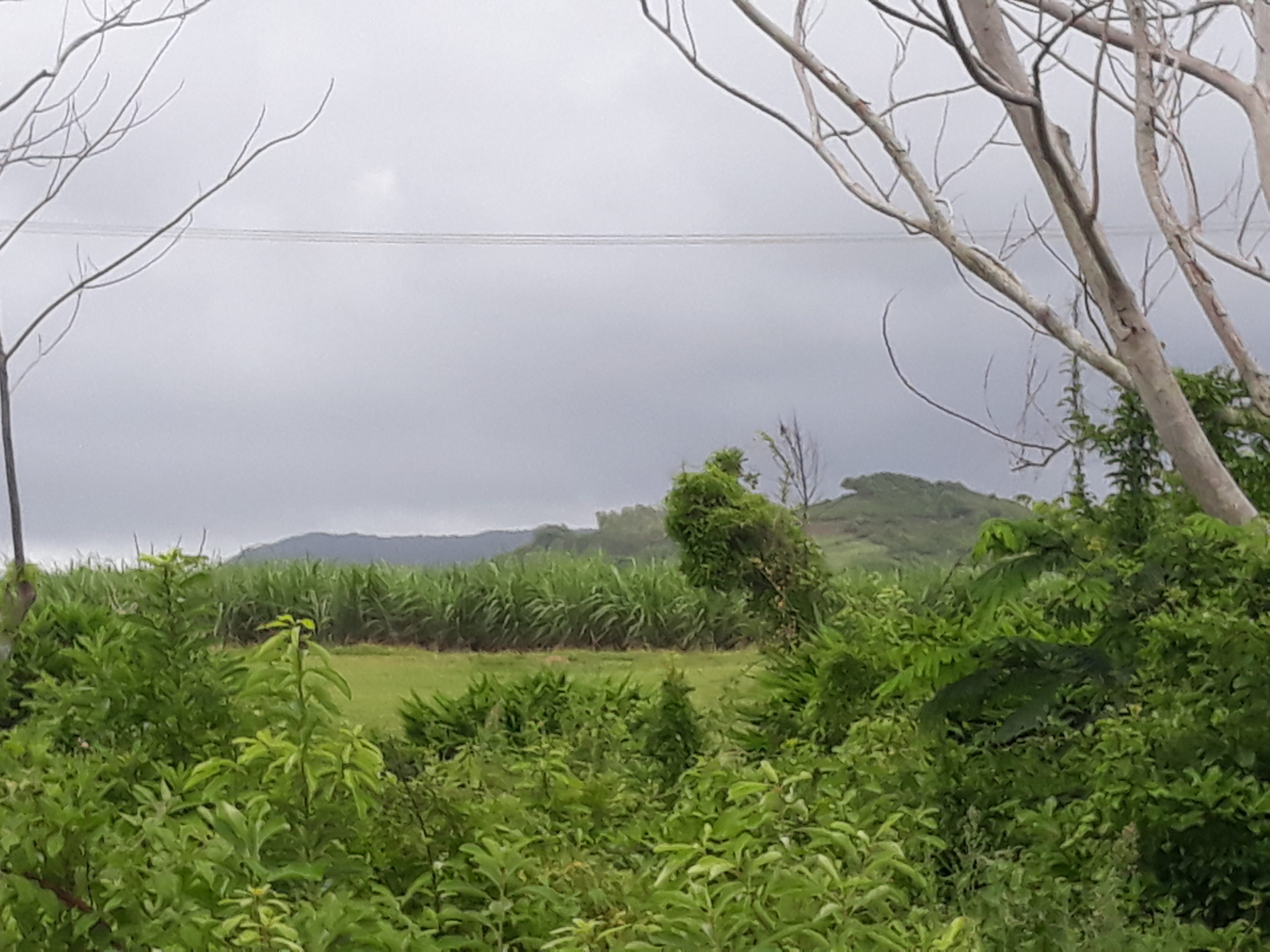 RESIDENTIAL LAND BEL OMBRE AJug Properties