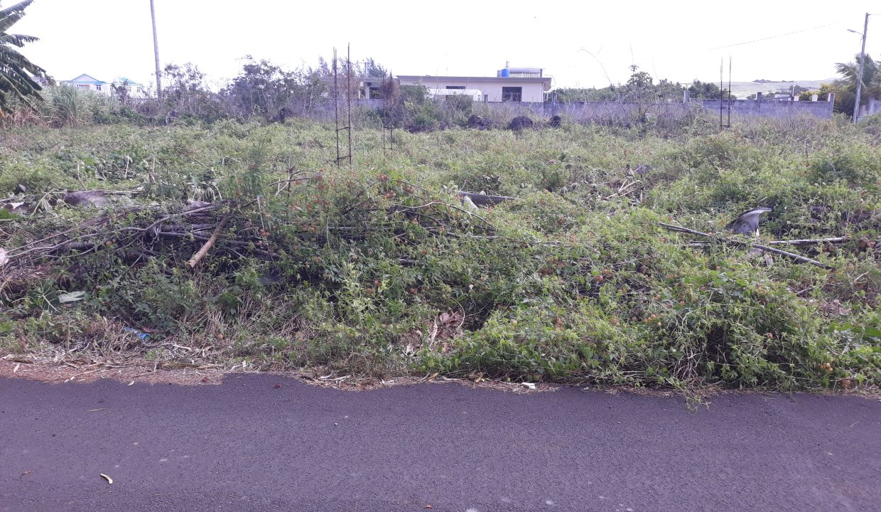 20190620_113228