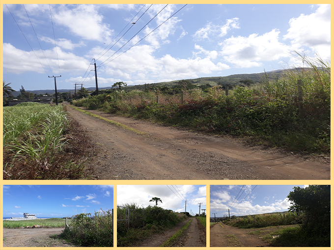 AGRICULTURAL LAND – SAVANNE, CHAMOUNY