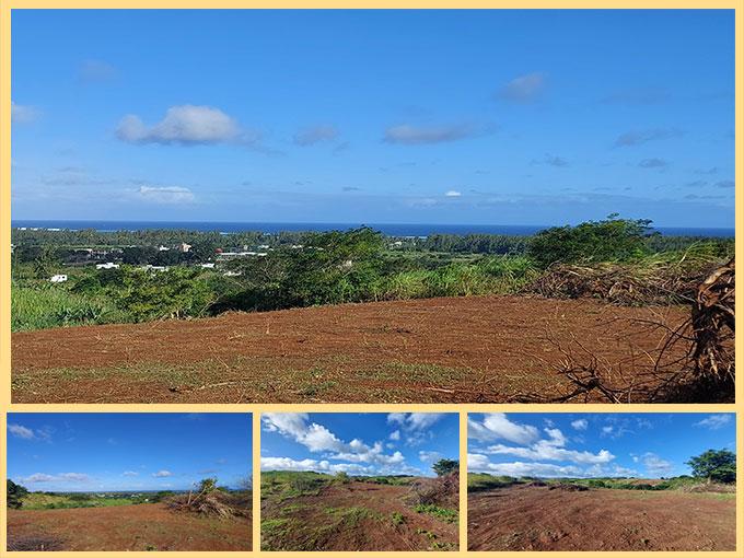 AGRICULTURAL LAND – SAVANNE, BELLE-VUE, RIAMBEL